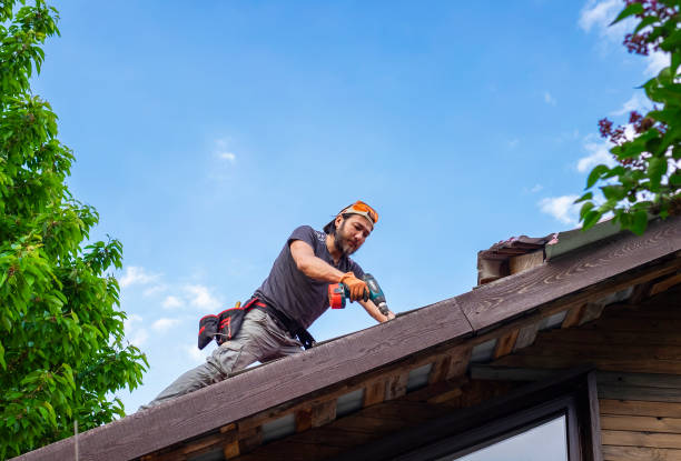 Best Roof Maintenance and Cleaning  in Jonesboro, LA